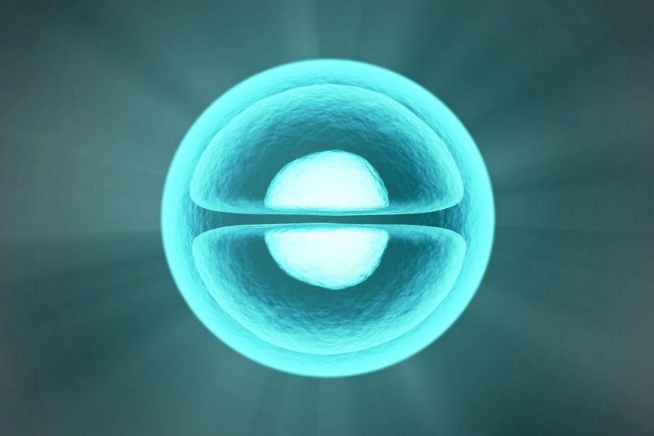 numerical simulation of viscous shocked